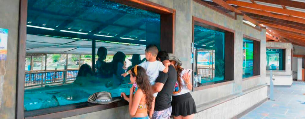 Slider playa blanca 1