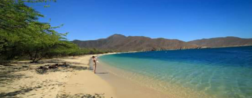 Slider1 Bahia Concha